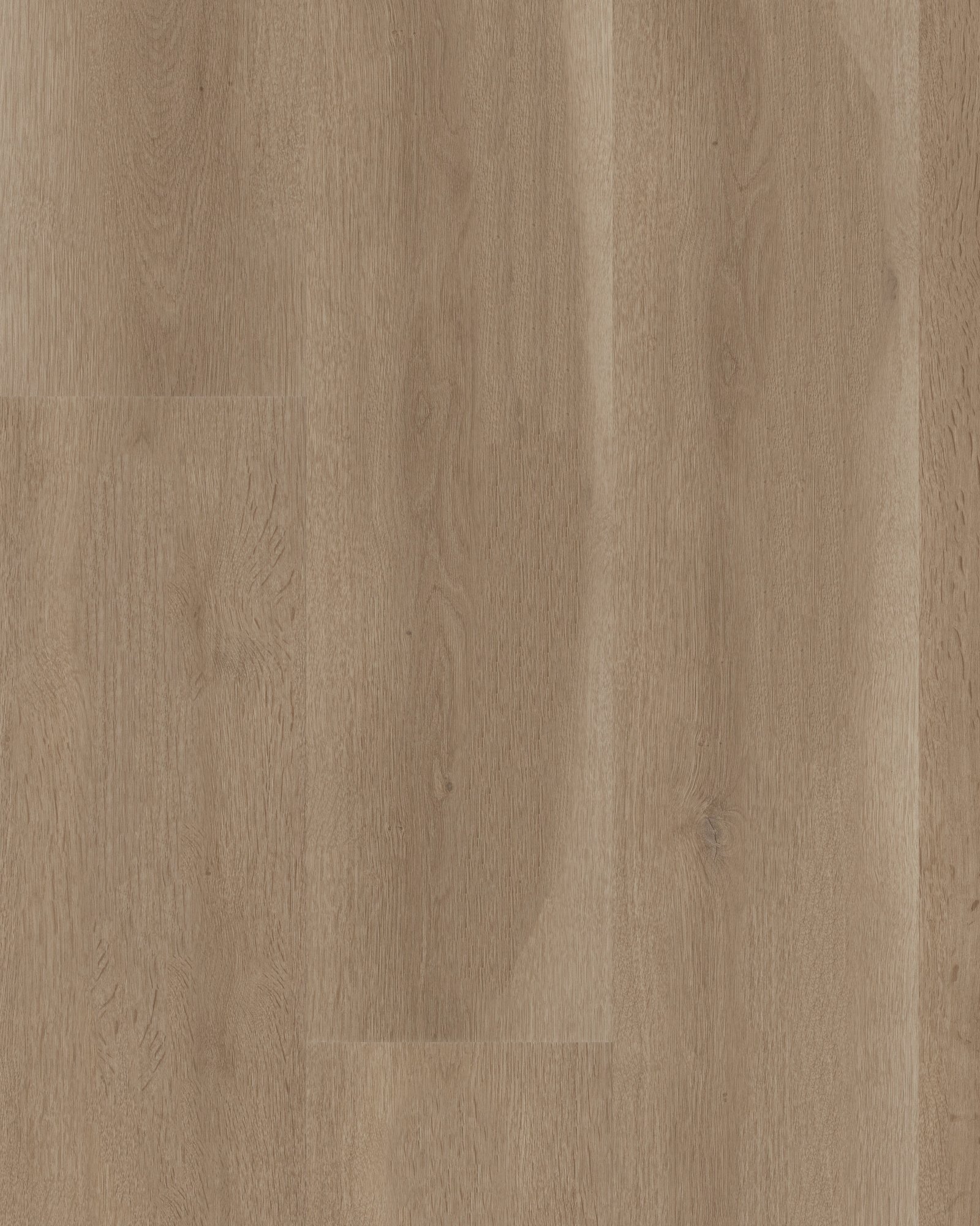 Aspire Natural Bevel Woodland Truffle LVP | Carpet Exchange