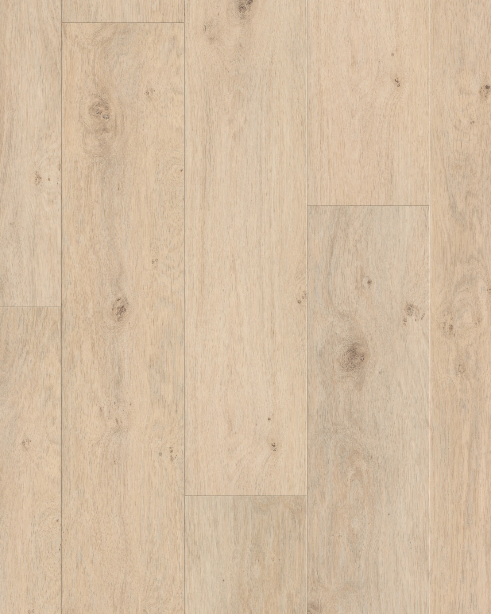 3415v-167-freshtake-