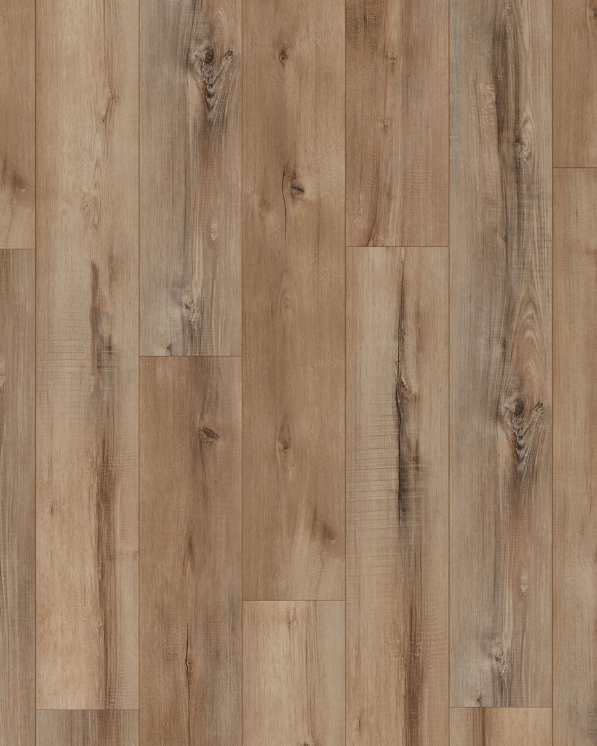 Coretec Portchester Oak Luxury Vinyl Carpet Exchange