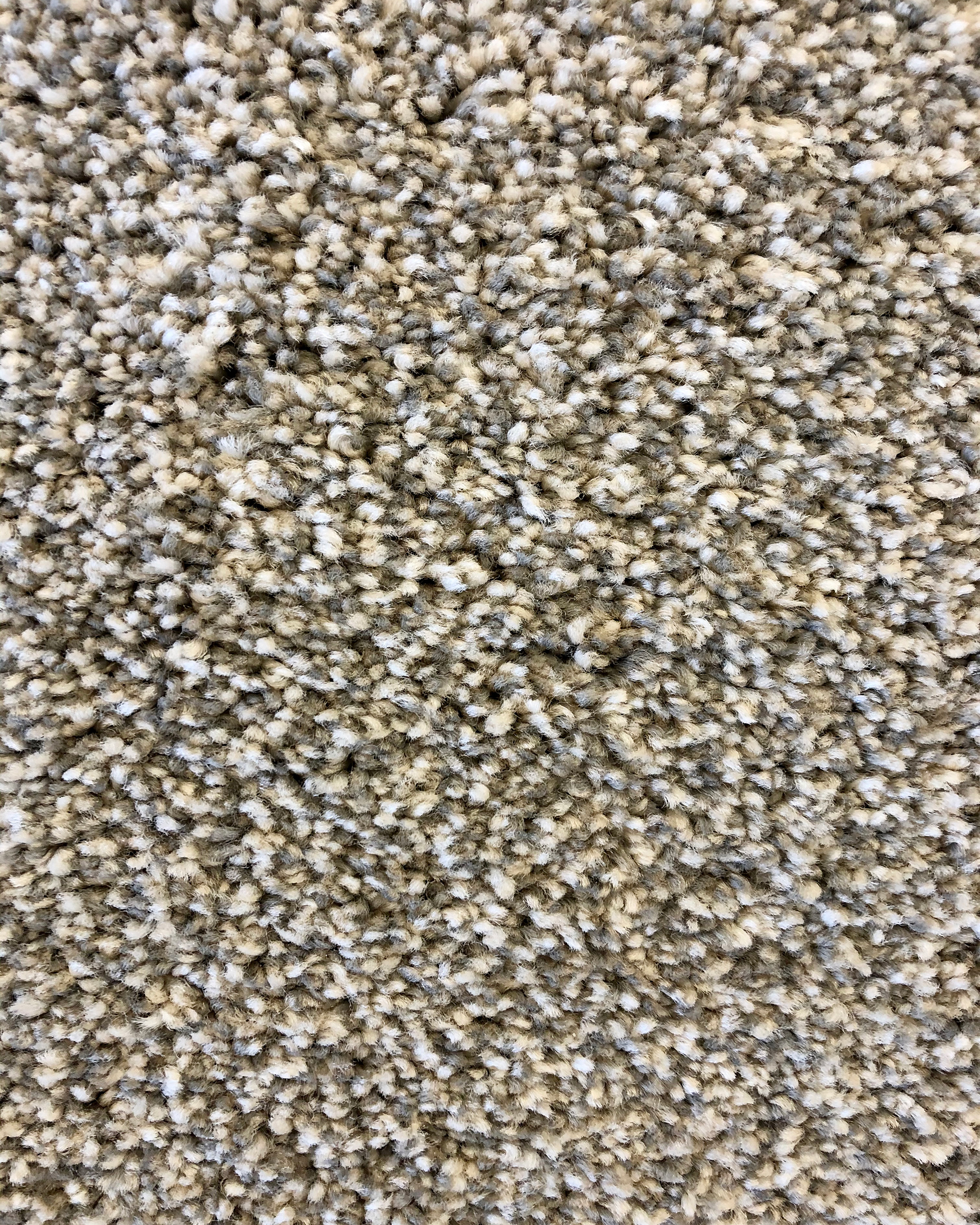 Colorful Mix II 918 Textured Carpet | Carpet Exchange