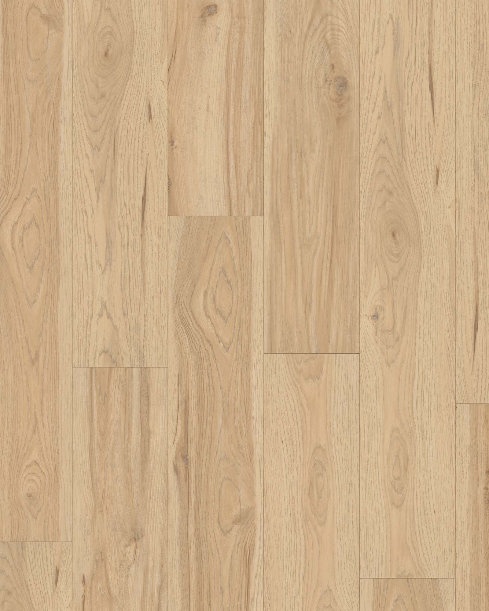 Adura Flex Preservation Fossil - LVP | Carpet Exchange