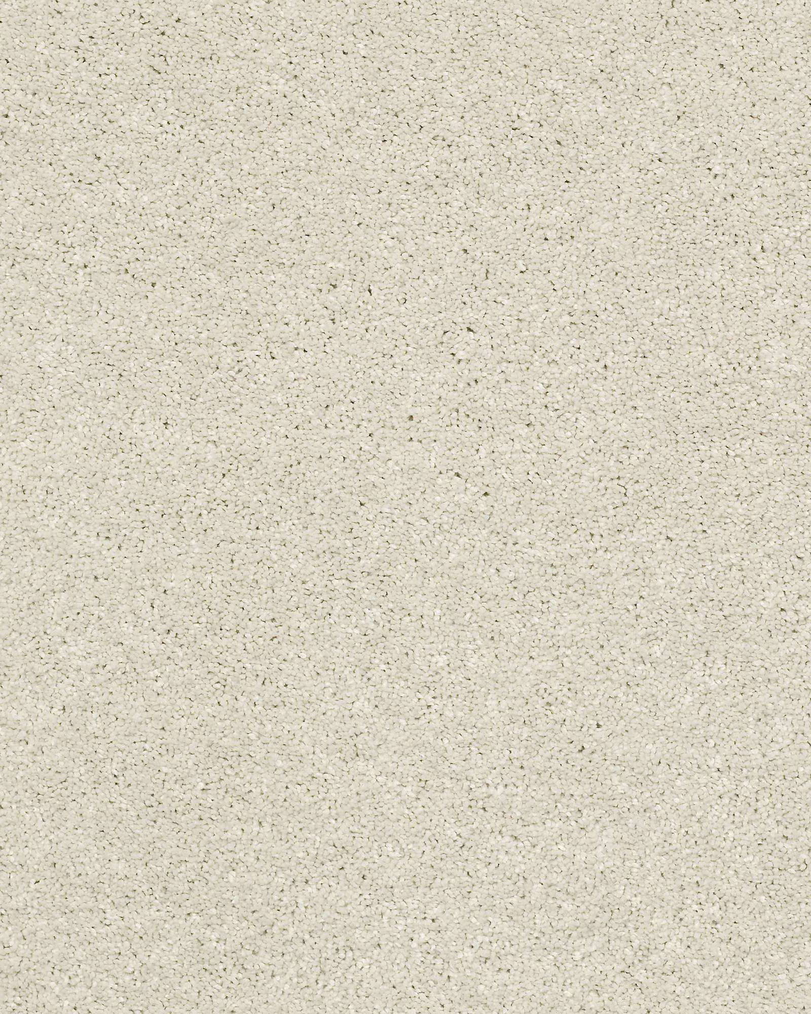 Shaw E9639 Basic Rules Creamery Carpet Exchange