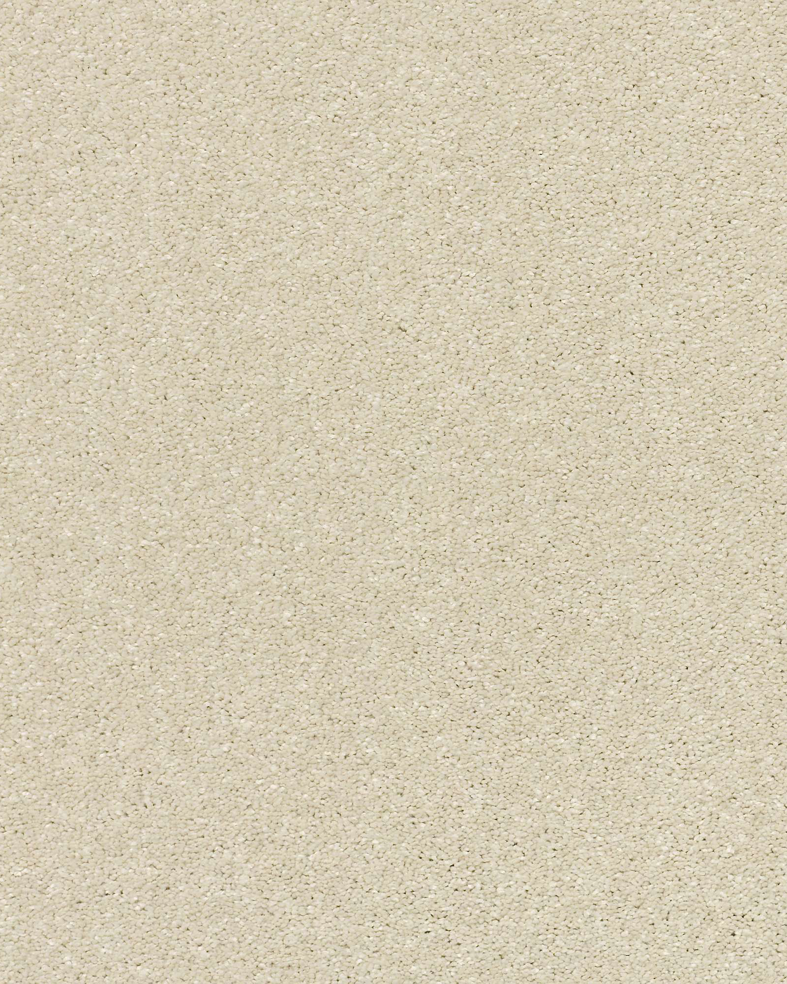 Shaw E9639 Basic Rules Linen Carpet Exchange