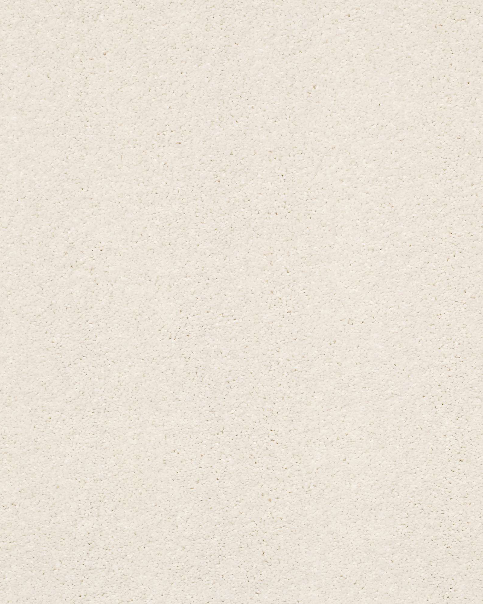 Shaw E9639 Basic Rules Oatmeal Carpet Exchange