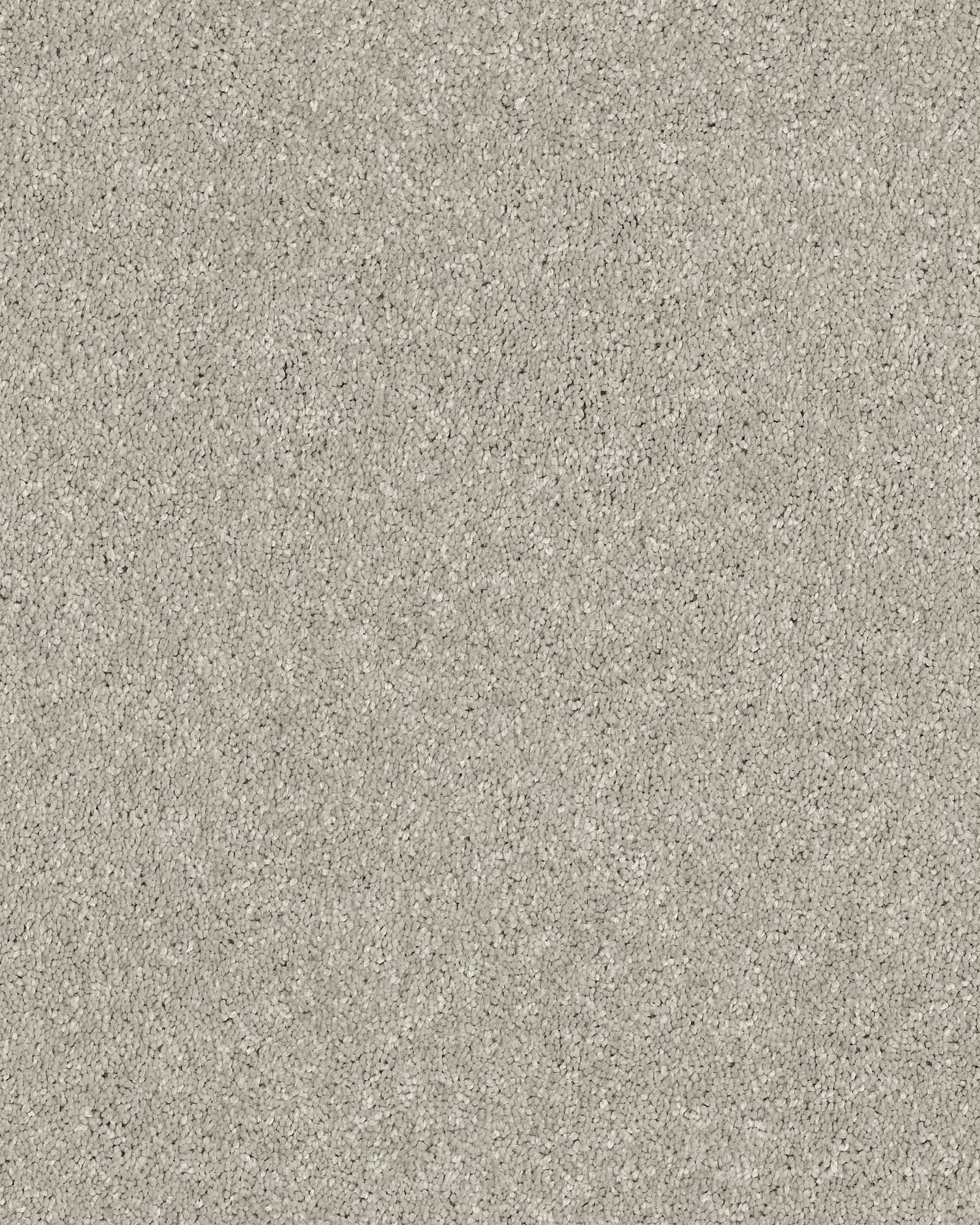 Shaw E9639 Basic Rules Platinum Carpet Exchange