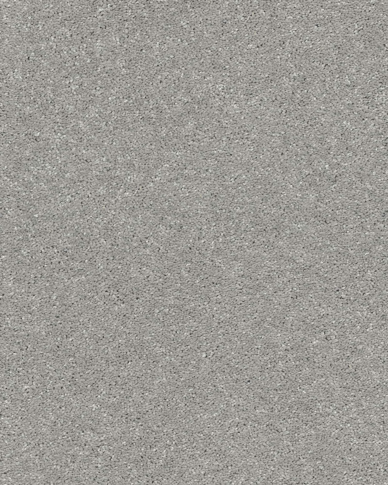 Shaw E9639 Basic Rules Sterling Carpet Exchange