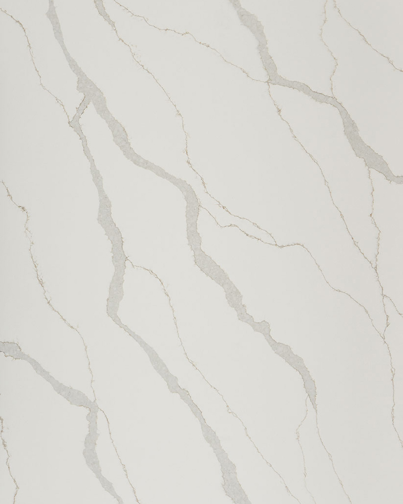MSI Calacatta Idillio Quartz Countertop Carpet Exchange