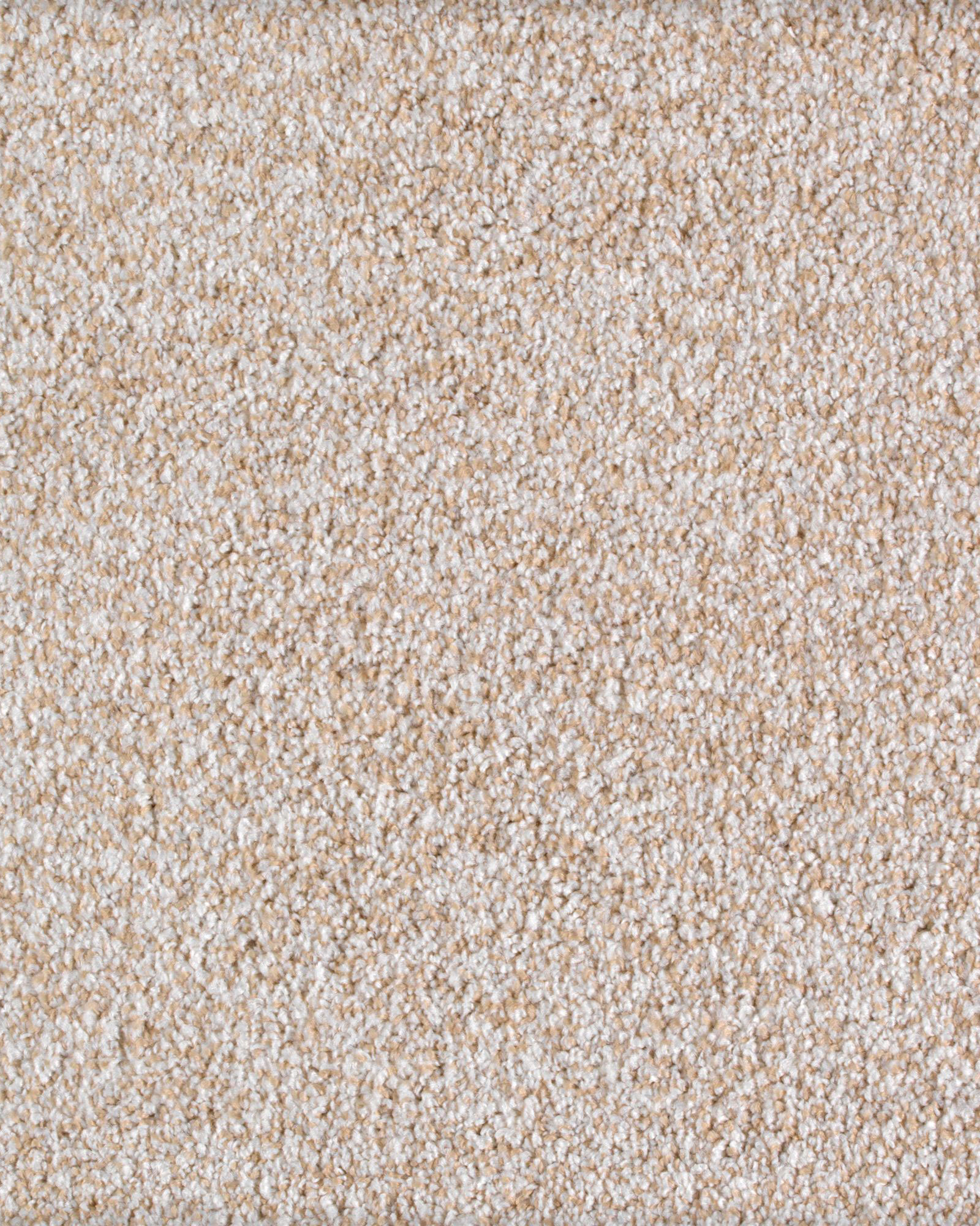 Karastan K8907 Calm Retreat Soft Whisper Carpet Exchange