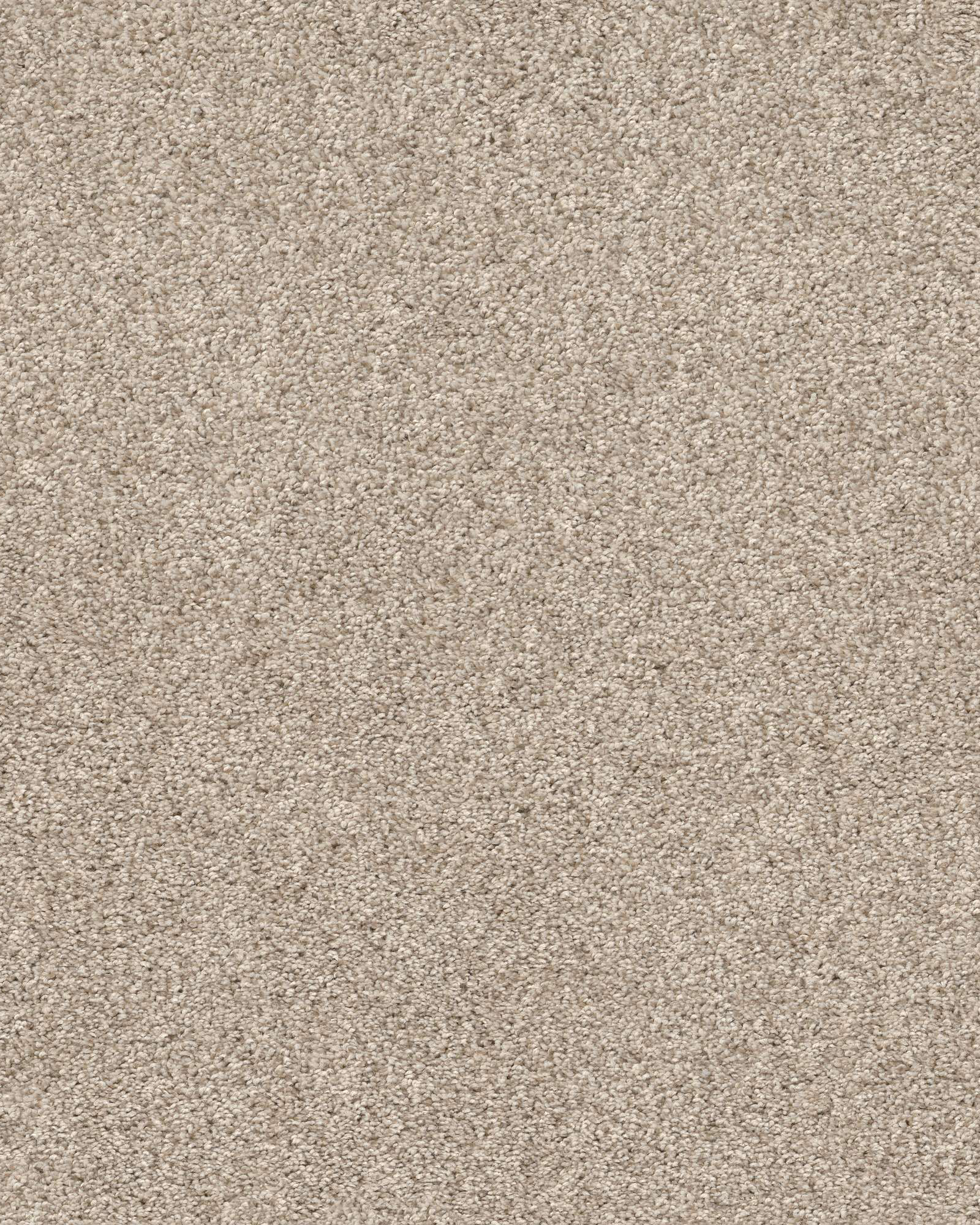 Shaw Bellera Calm Serenity I Kidskin Carpet Exchange