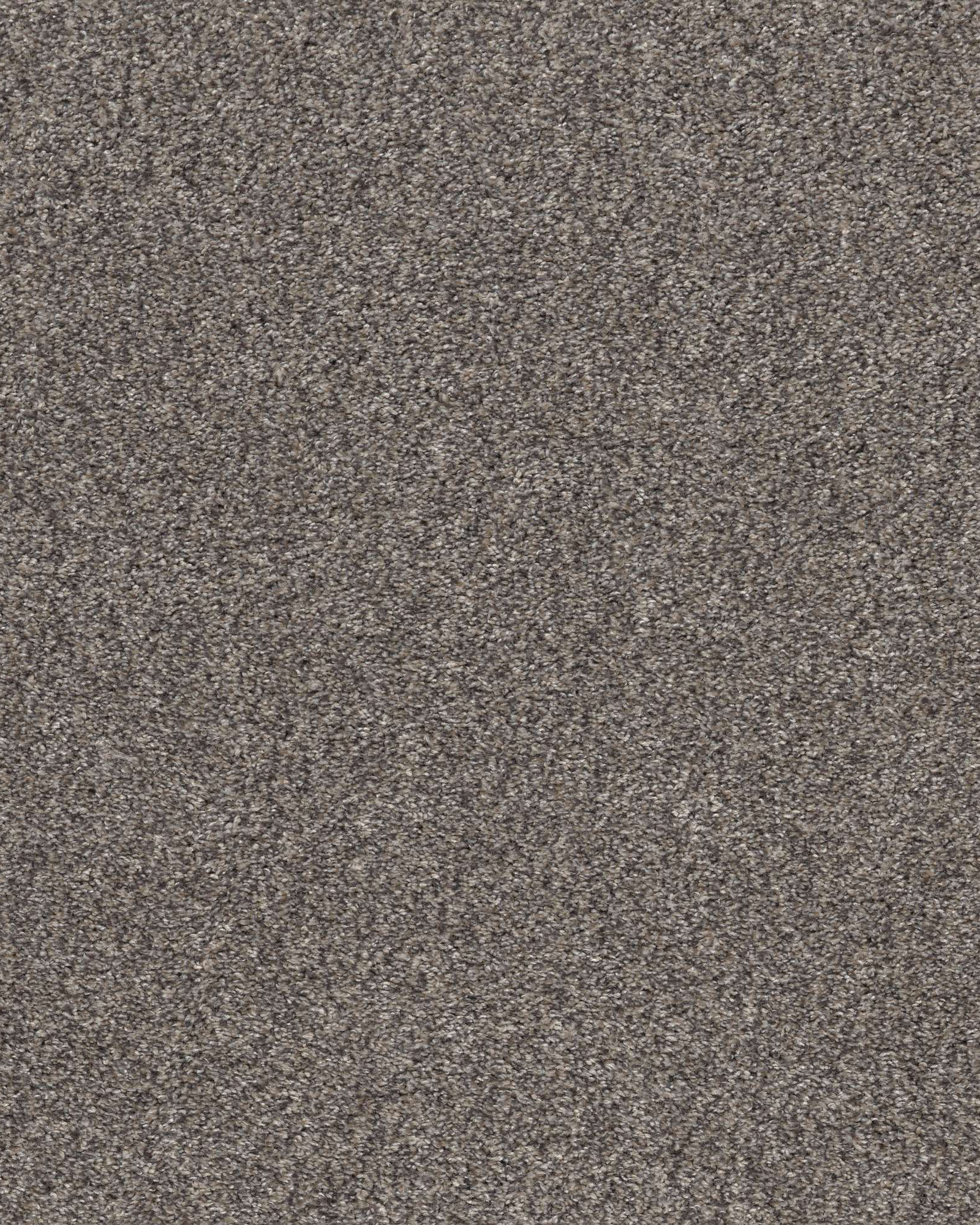 Shaw 5E271 Calm Simplicity I Shoreline | Carpet Exchange