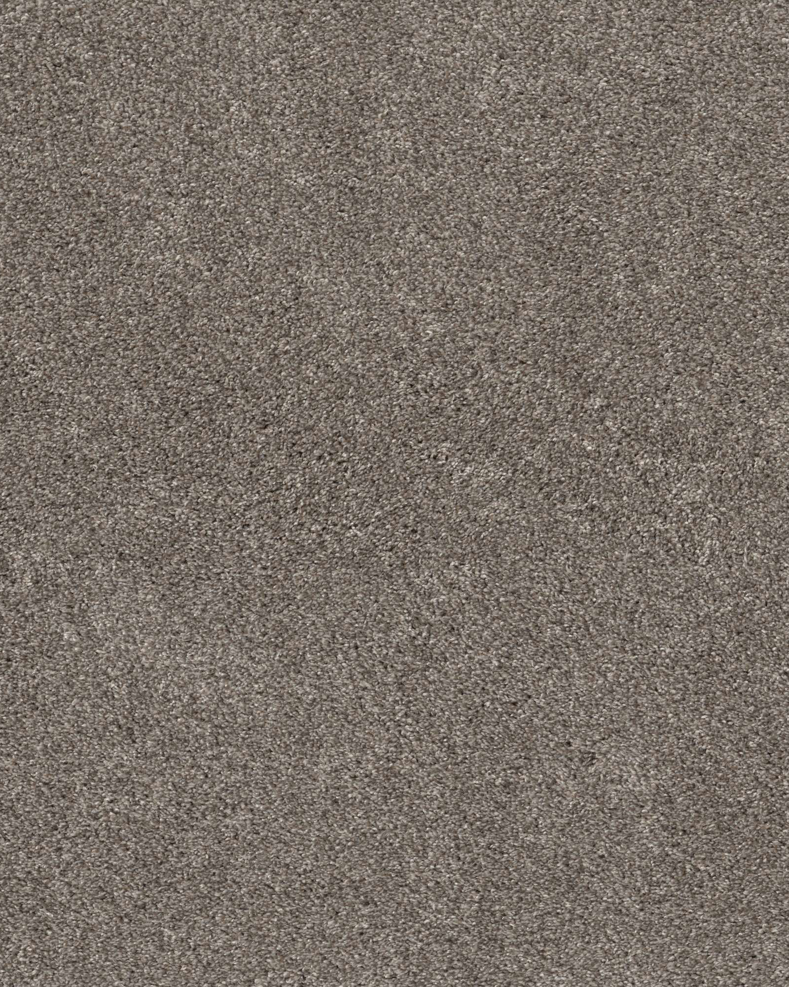 Shaw 5E271 Calm Simplicity II Desert View Carpet Exchange