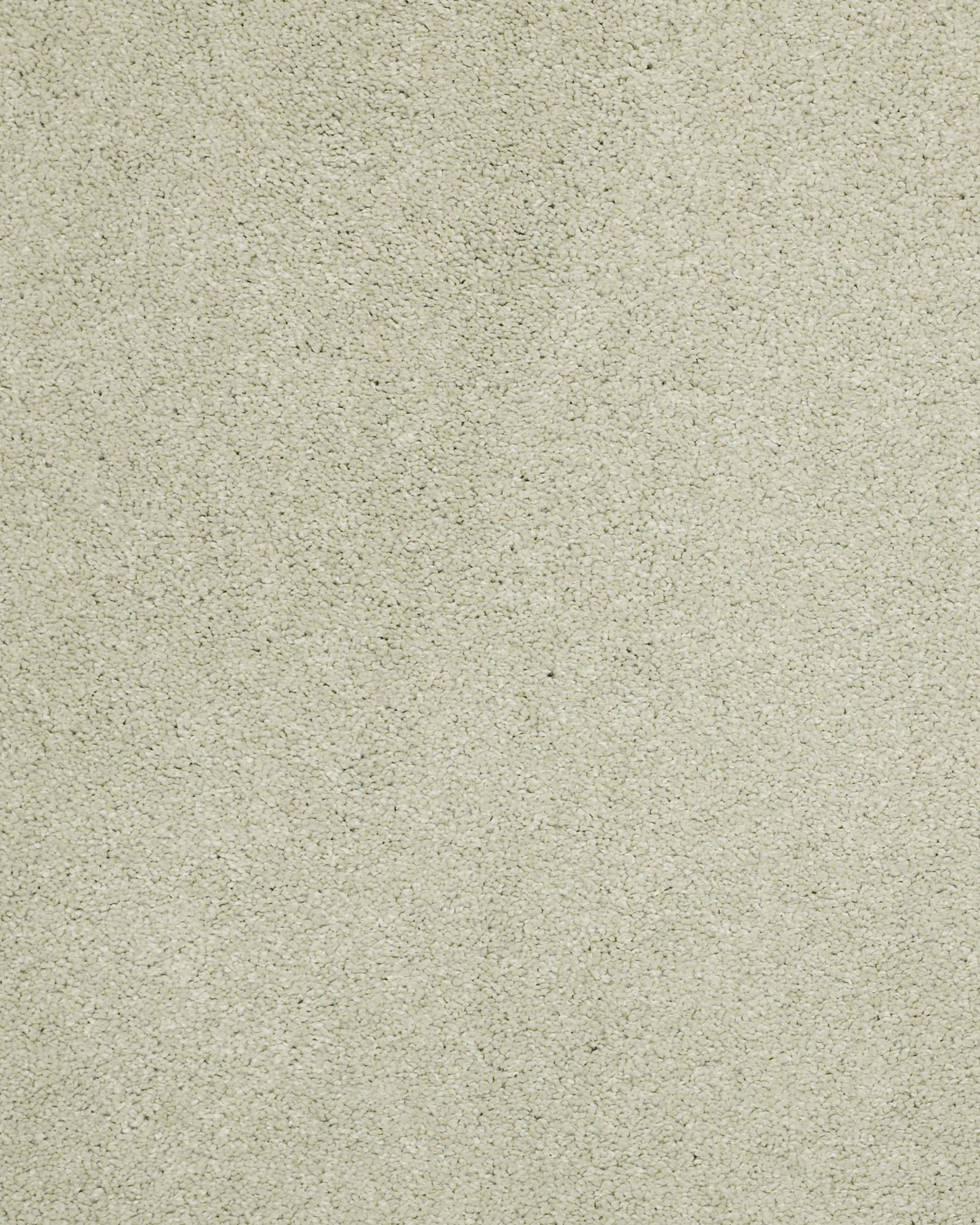 Shaw Cashmere Classic II Celadon Carpet Exchange