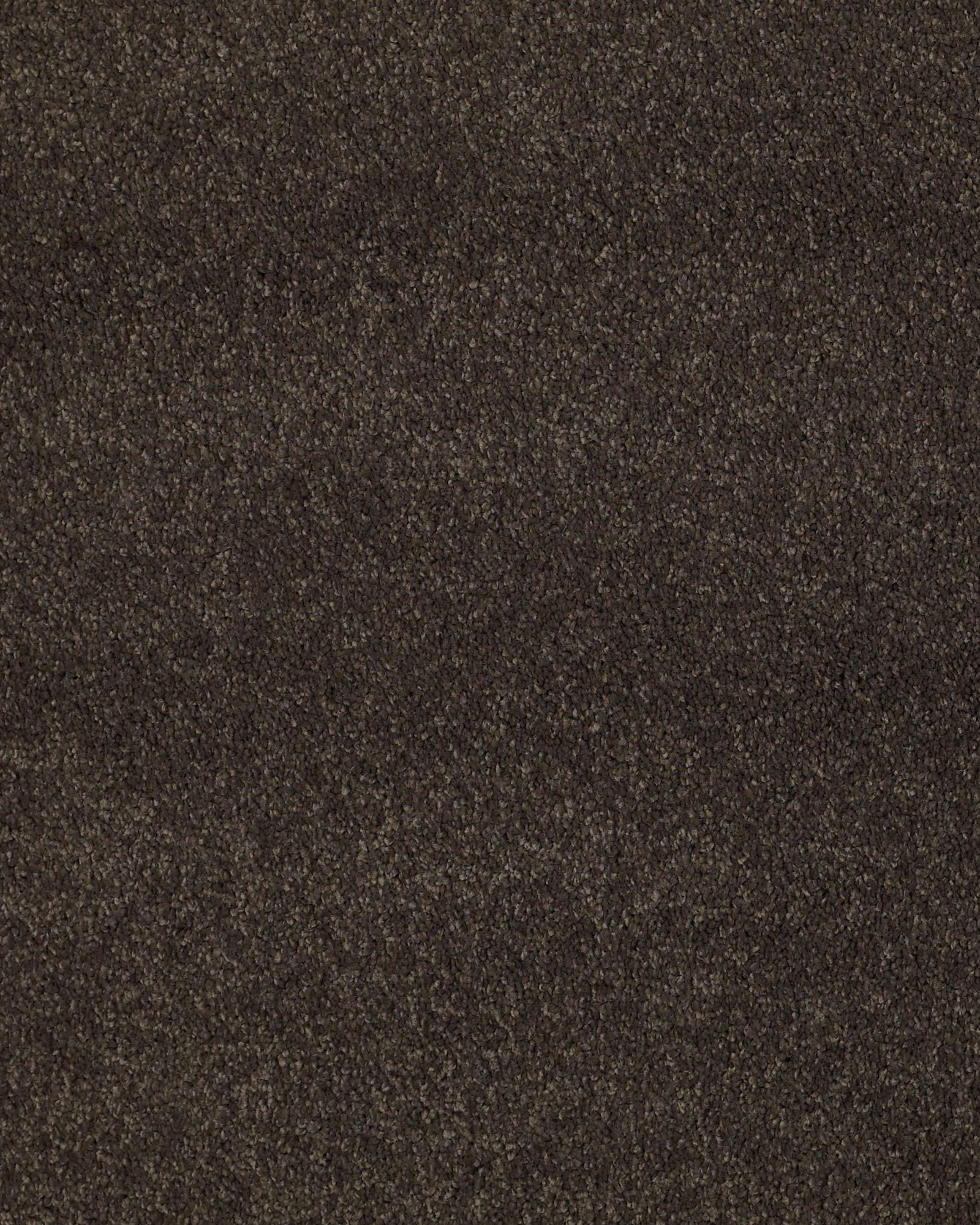 Shaw Cashmere Classic II Chestnut Carpet Exchange