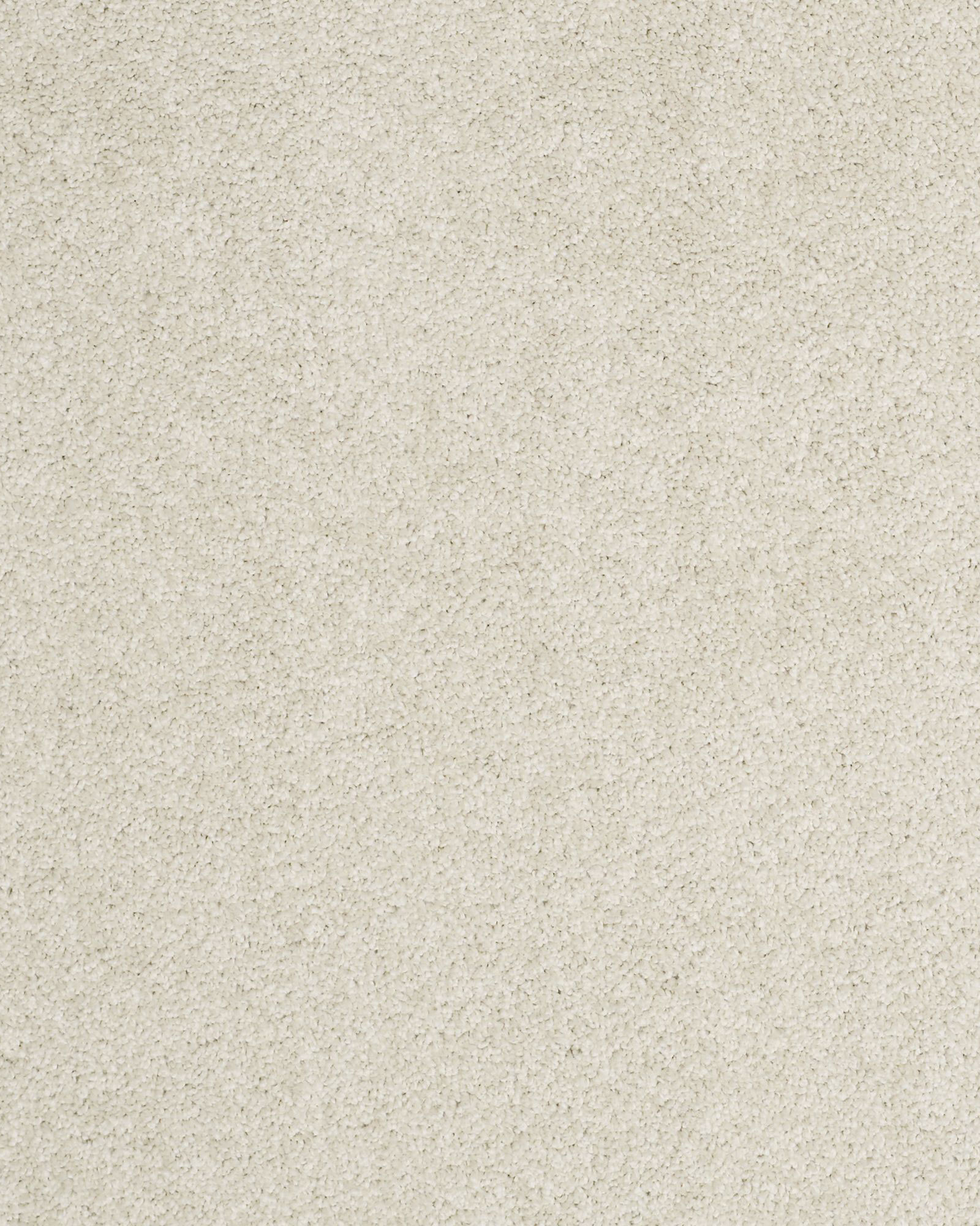 Shaw Cashmere Classic II Cheviot Carpet Exchange