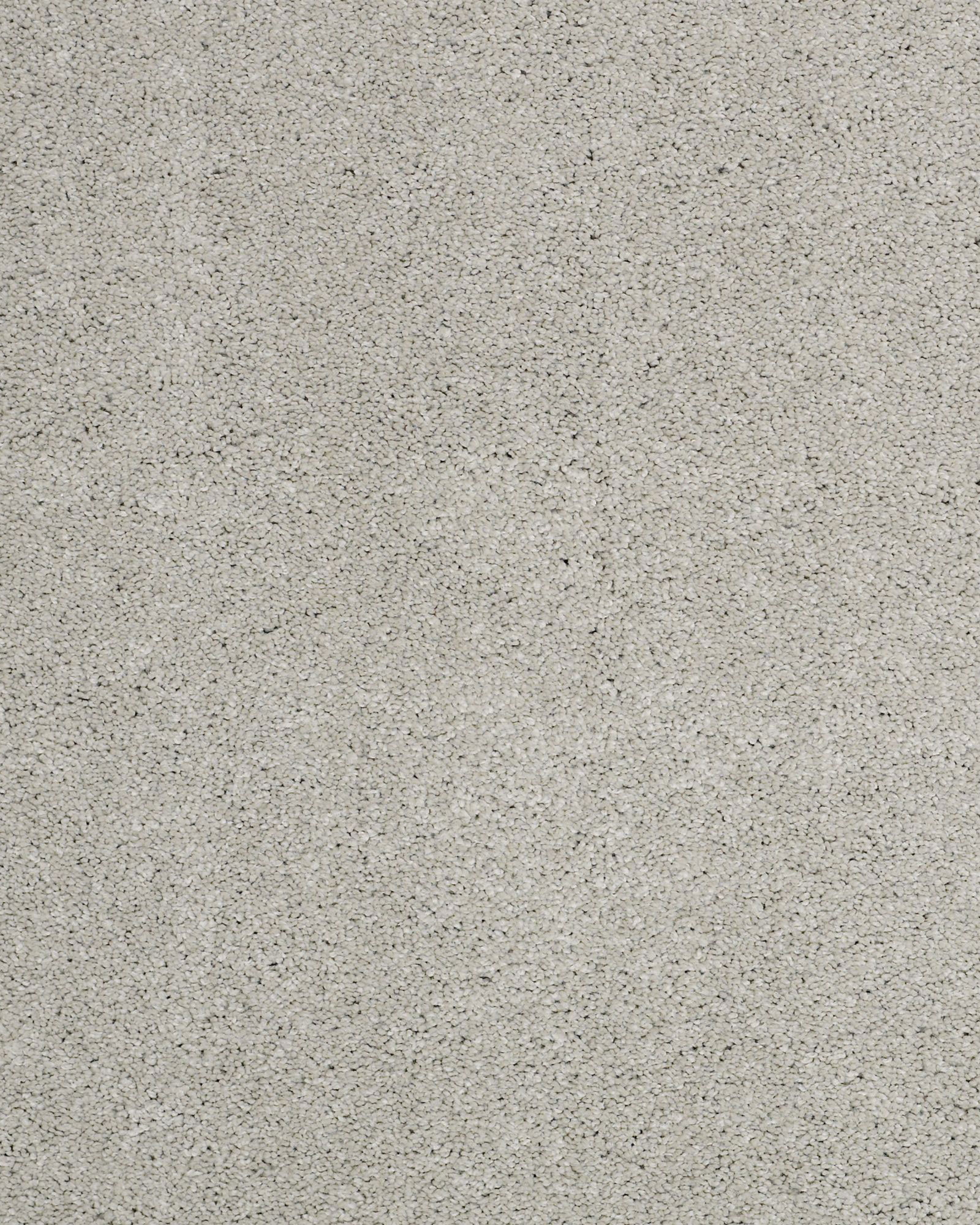 Shaw Cashmere Classic II Froth Carpet Exchange