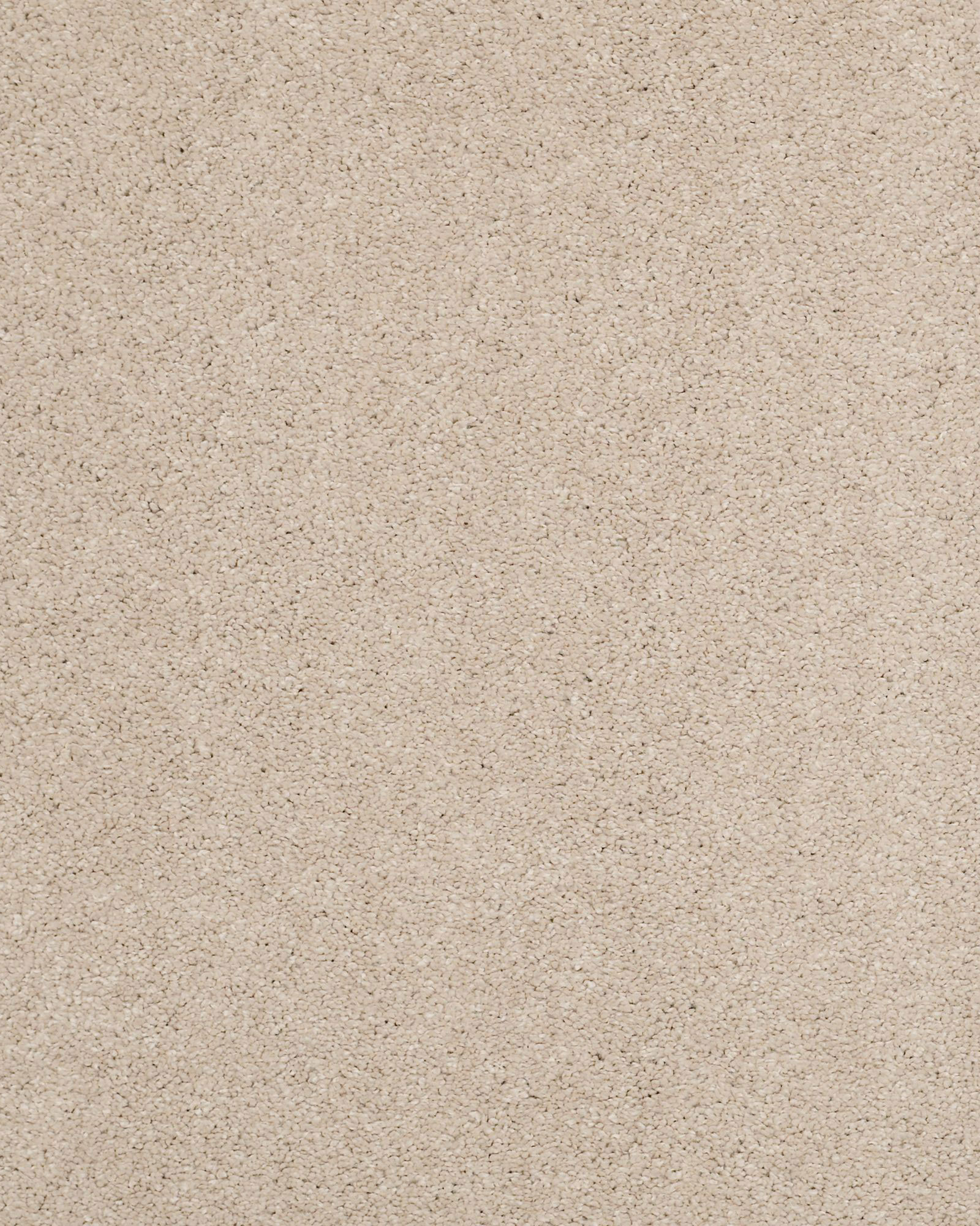 Shaw Cashmere Classic II Harvest Moon Carpet Exchange