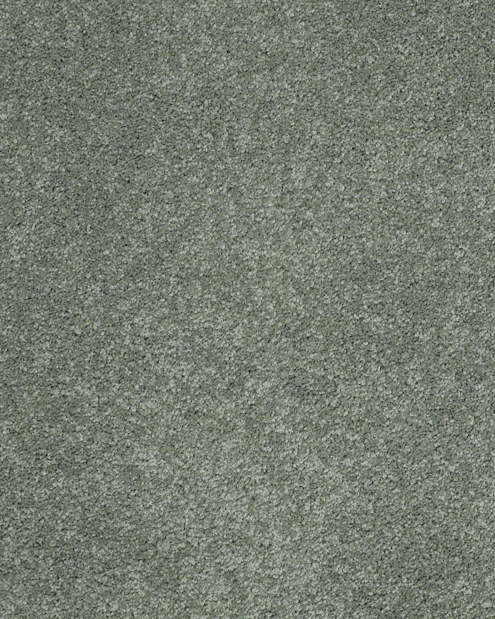 Shaw Cashmere Classic II Jade Carpet Exchange