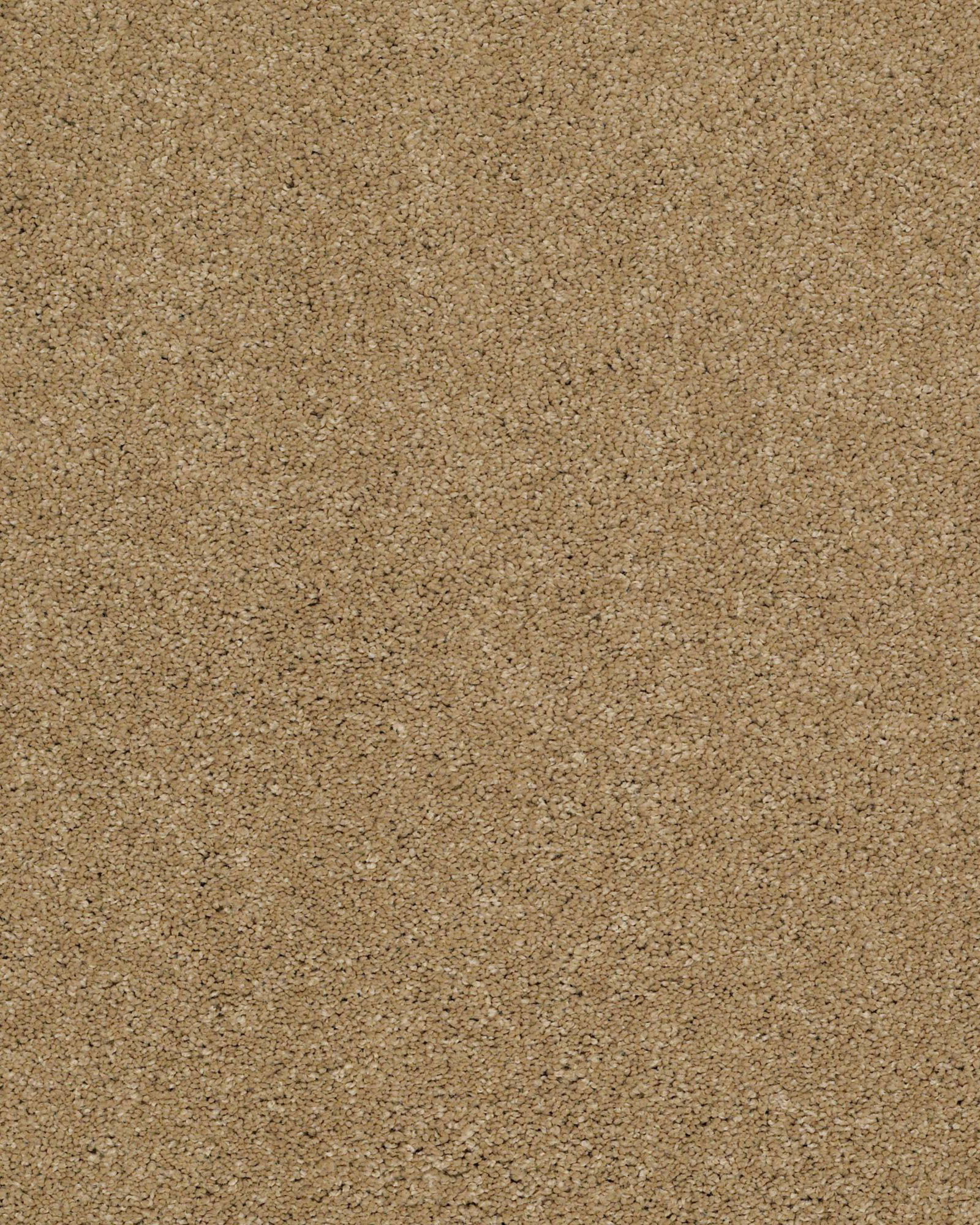 Shaw Cashmere Classic II Navajo Carpet Exchange