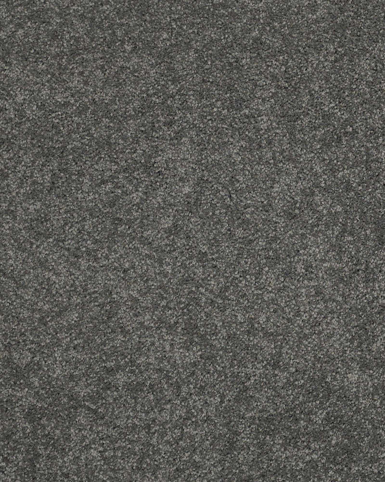 Shaw Cashmere Classic II Onyx Carpet Exchange