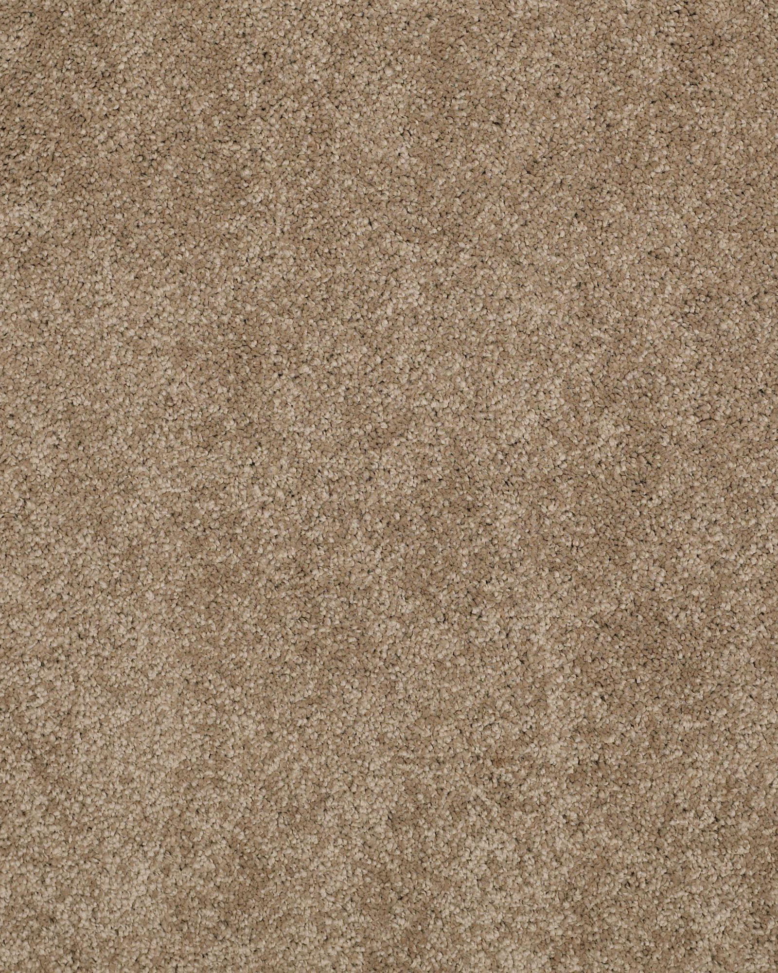 Shaw Cashmere Classic II Pebble Path Carpet Exchange