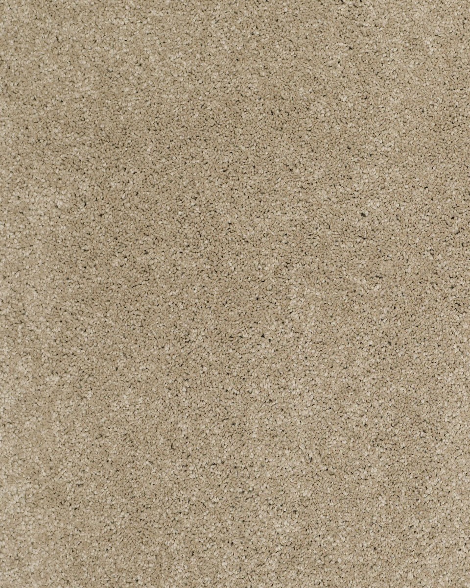 Shaw Cashmere Classic II Carpet Exchange