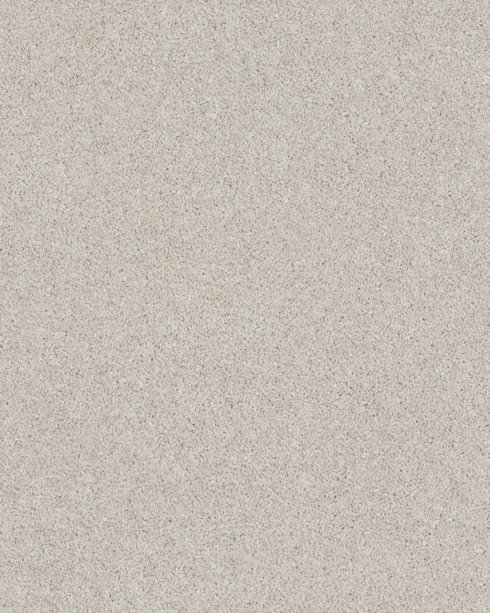 Shaw Cashmere Classic II Spearmint Carpet Exchange