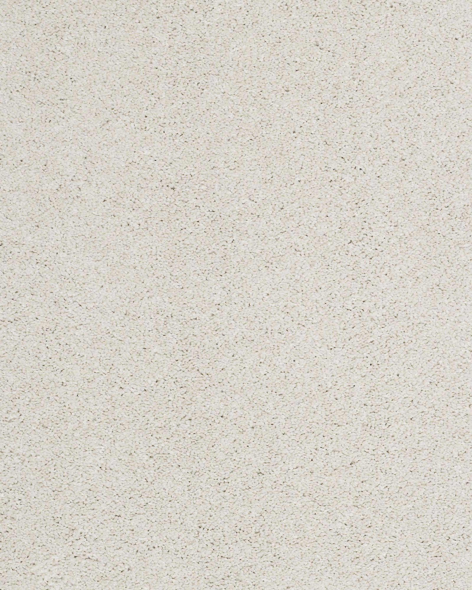 Shaw Cashmere Classic II Suffolk Carpet Exchange