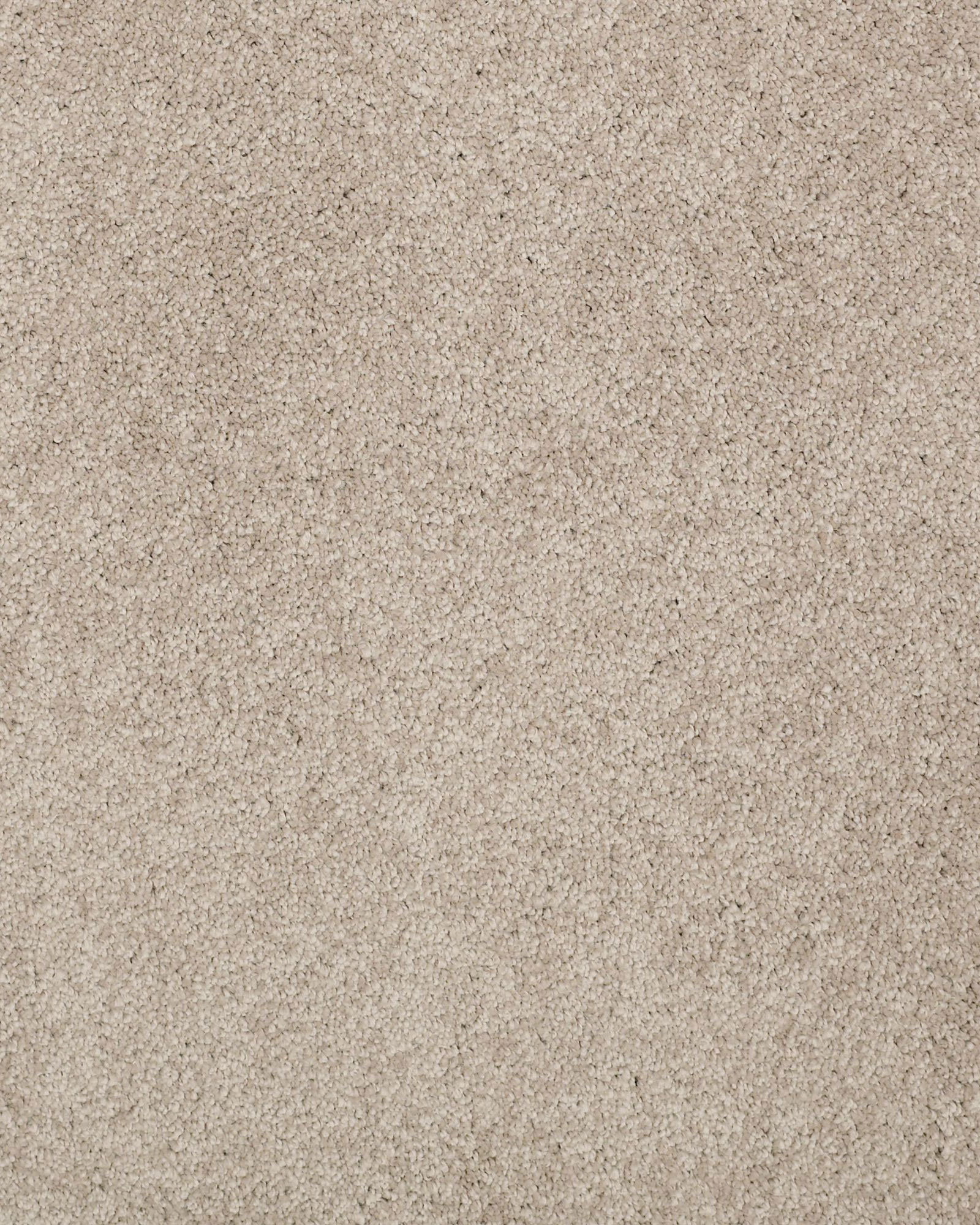 Shaw Cashmere Classic II White Pine | Carpet Exchange