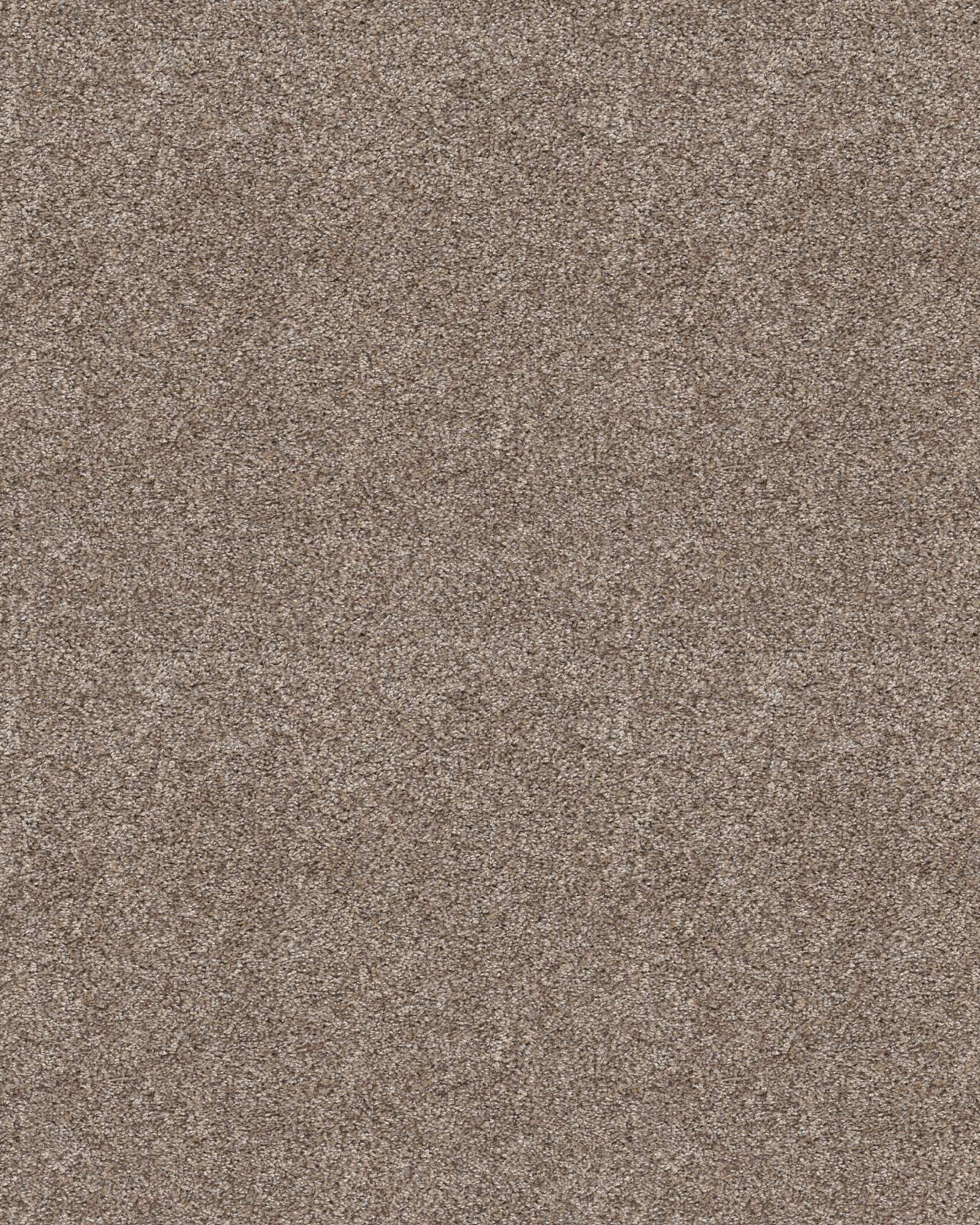 Shaw Bellera Charmed Hues Sugar Cookie | Carpet Exchange