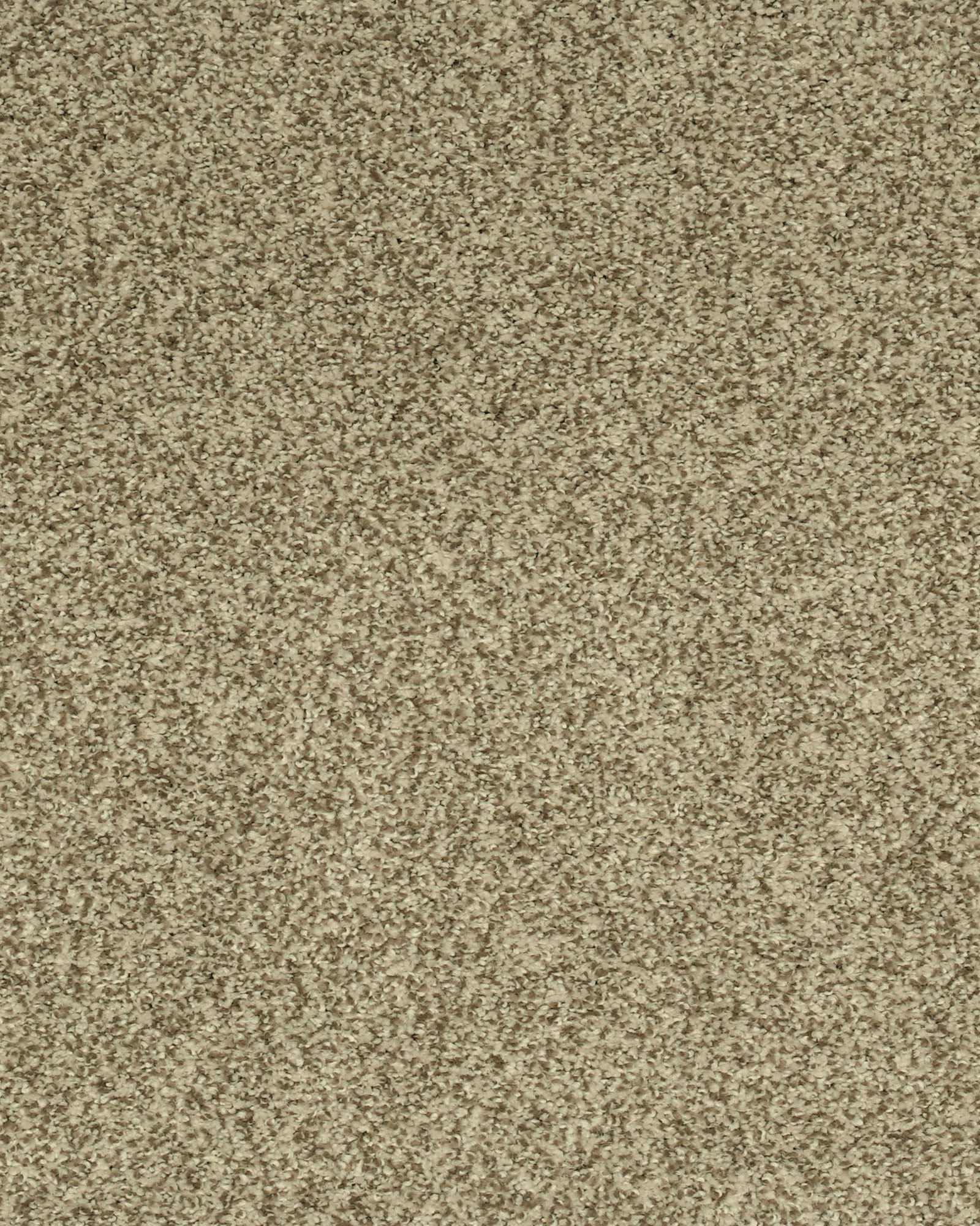 Karastan Cherished Tradition Cuban Sand Carpet Exchange