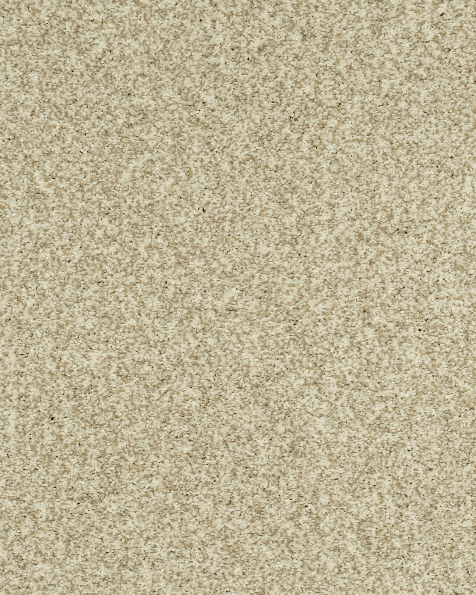 Karastan K8962 Cherished Tradition Haven Carpet Exchange