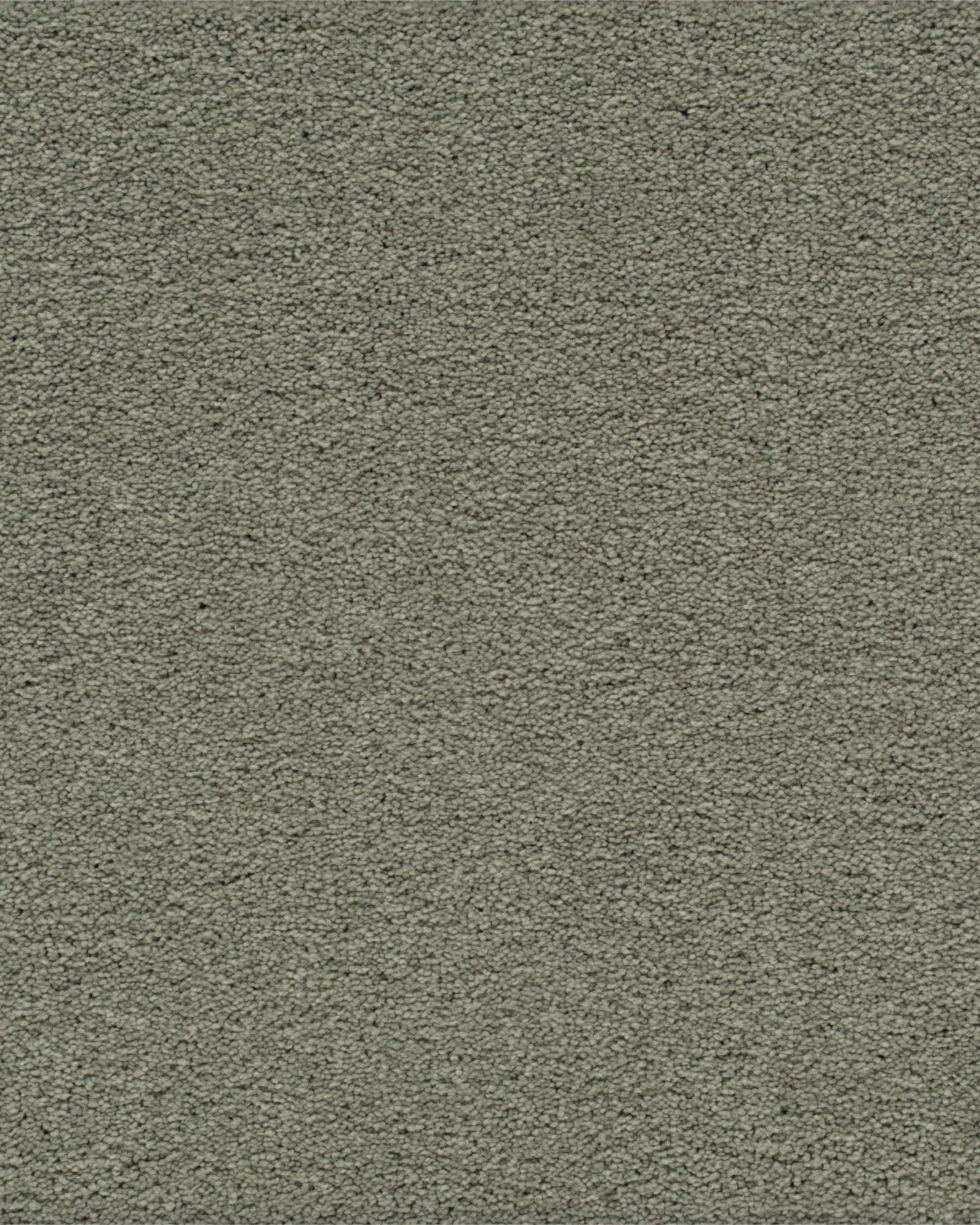 Karastan Classical Approach Rejuvenation Carpet Exchange