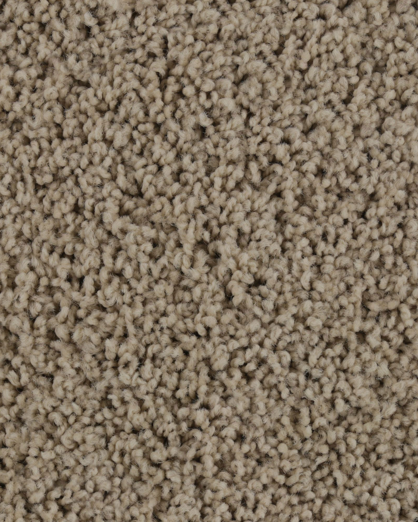 Karastan K8934 Confident Beauty Warm Sand Carpet Exchange