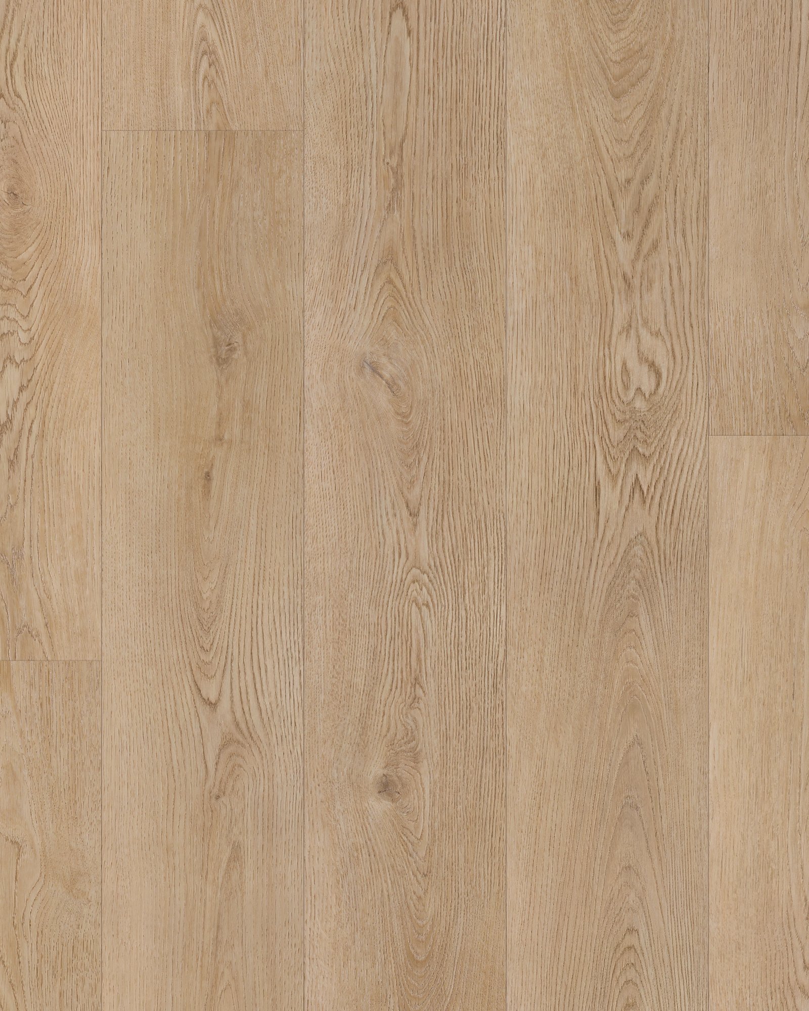 リラックス Amazon | DRAGON ゴーグル スペアレンズ ドラゴン スノーボード PXV2