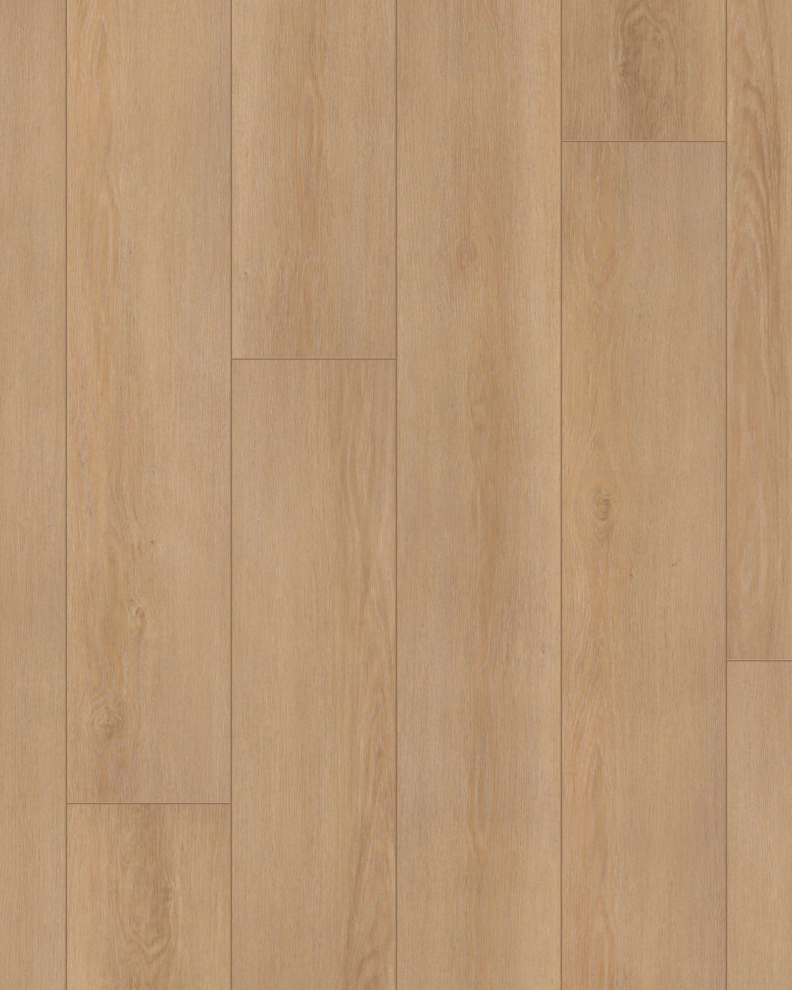 ターニングポイント ラディックス fit=scale-down,w=1200