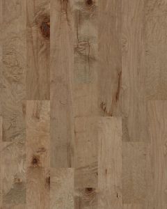 Mendocino Gold Dust Maple 6" Hardwood