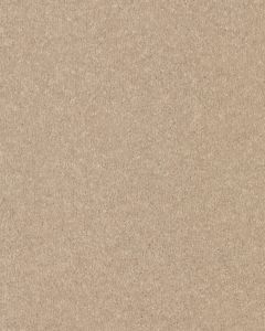 Quality Life Textured SmartStrand 55oz Carpet