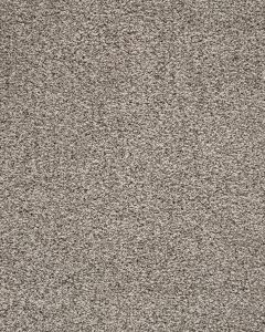 Luxuriant Space Textured SmartStrand 40oz Carpet
