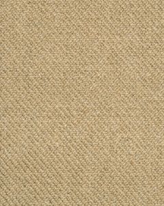 Imbue Limoncello Carpet