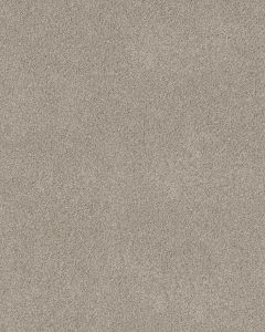 Pawsitive T Marble Pet Friendly Textured 40oz Carpet