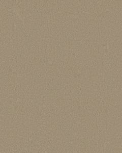 Smooth Tone Mirage 58oz Textured Pet Friendly Carpet