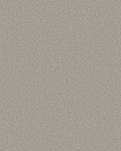 Timeless Tone Icy Mist 58oz Textured Pet Friendly Carpet