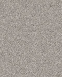 Timeless Tone Distant Star 58oz Textured Pet Friendly Carpet