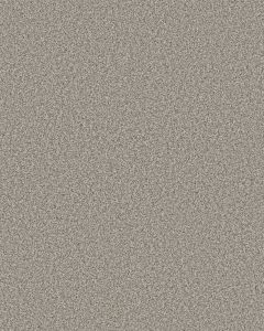 Timeless Tone Gateway Grey 58oz Textured Pet Friendly Carpet