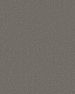 Timeless Tone Mysterious 58oz Textured Pet Friendly Carpet