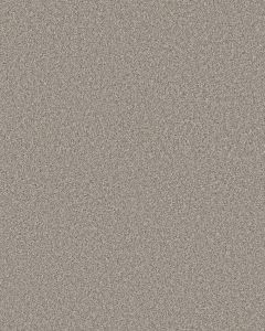 Timeless Tone Latte 58oz Textured Pet Friendly Carpet