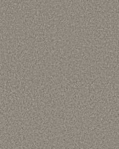 Timeless Tone Driftwood 58oz Textured Pet Friendly Carpet