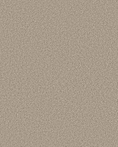 Timeless Tone Mirage 58oz Textured Pet Friendly Carpet