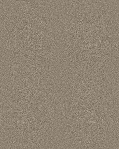 Timeless Tone Natural Stone 58oz Textured Pet Friendly Carpet