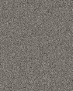 Timeless Tone After Dark 58oz Textured Pet Friendly Carpet